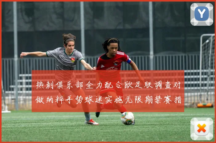 热刺俱乐部全力配合欧足联调查对做纳粹手势球迷实施无限期禁赛措施