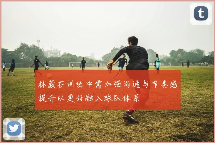 林葳在训练中需加强沟通与节奏感提升以更好融入球队体系